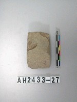 藏品(小型磨製石錛)的圖片